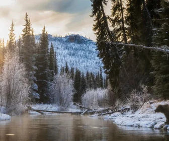 Replay Le Yukon, fleuve glacé d'Amérique