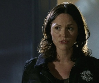 Replay Les experts - S11 E22 - Là où tout a commencé