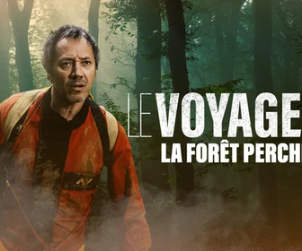 Replay Le voyageur - La forêt perchée