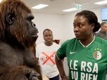 Replay Racisme en IA : gare aux gorilles ! - Le dessous des images