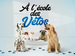 Replay A l'école des vétos - C'est vraiment un moment de partage