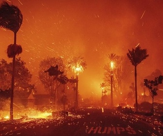 Replay Californie, tes palmiers sont en feu - Le dessous des images