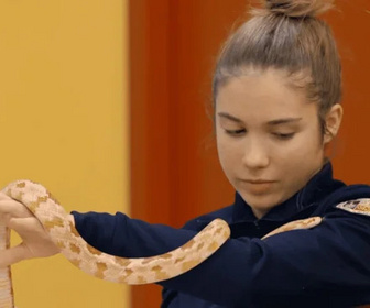 Replay À l'école des pompiers - 28/10/2025