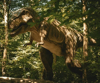 Replay Mission info - 12/04/2026