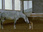 Replay Rex, chien flic