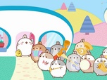 Replay Molang - Le groupe de rock