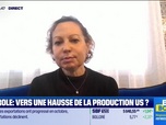 Replay BFM Bourse - Pétrole : les Saoudiens inquiets du retour de D. Trump ? - 07/11