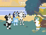 Replay Bluey - 12/10/2025