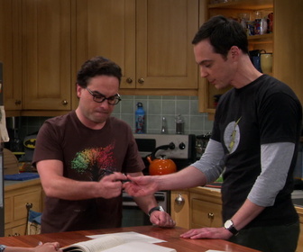 Replay The Big Bang Theory - S9E4 - Retour à la case départ