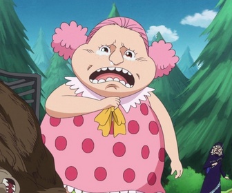 Replay One piece - S19 E54 - Le secret de mom. Erbaf et le petit monstre !