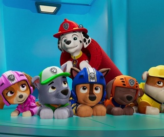 Replay Paw Patrol, la Pat'Patrouille - La Pat' Patrouille des Airs : Le sauvetage de l'avion royal
