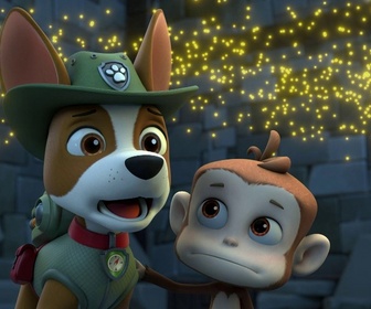 Replay Paw Patrol, la Pat'Patrouille - Super Chats : le rugissement du chat