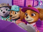 Replay Paw Patrol, la Pat'Patrouille - Sur la route avec Stella : Le Parc de l'Os dOr