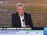Replay Le 19h Eco - InVivo : On réfléchit à franchiser nos succursales Jardiland