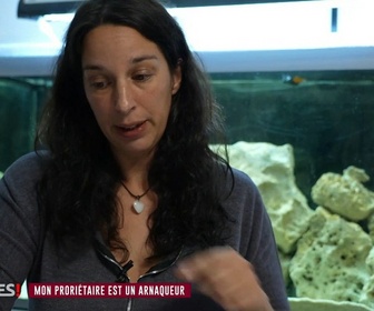 Replay Arnaques ! - Spéciale guerre des voisins (2/2)