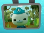 Replay Les Octonauts et les flamants roses