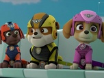 Replay Paw Patrol, la Pat'Patrouille - La Reine Cot-Cot