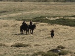 Replay ARTE Journal - Anima, chorégraphies pastorales dans le Massif central