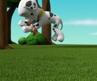 Replay Paw Patrol, la Pat'Patrouille - L'Aqua Patrouille : La perle violette