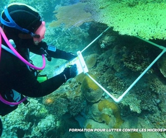 Replay Positive Outre-mer - Mayotte La formation pour lutter contre les micros plastiques