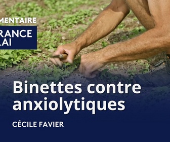 Replay La France en Vrai - Grand Est - Binettes contre anxiolytiques
