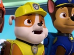 Replay Paw Patrol, la Pat'Patrouille - La disparition de la limande