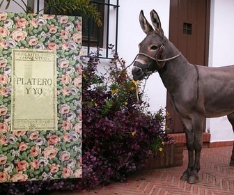 Replay Andalousie / Madère / Paris - Invitation au voyage