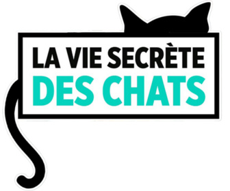 Replay La vie secrete des chats - S3E5 - Une vie (casanière) de chat avec Camille Cerf