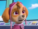 Replay Paw Patrol, la Pat'Patrouille - Les aventurières du ciel