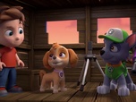 Replay Paw Patrol, la Pat'Patrouille - Monsieur Hellinger s'illumine
