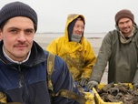 Replay L'huître creuse colonise la mer des Wadden - ARTE Regards
