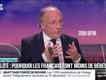 Replay 20H BFM - LE CHOIX D'YVES - Pourquoi les Français font moins de bébés?
