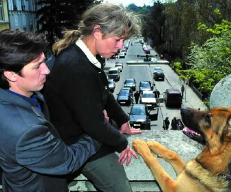 Replay Rex, chien flic - 24/07/2026
