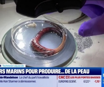 Replay Good Morning Business - Des vers marins pour produire de la peau !