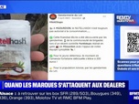 Replay BFMTV répond à vos questions - Nutellhash, Carambhash, Haribeuh... Les marques s'attaquent aux dealers