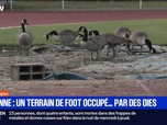 Replay BFM Première prématinale - Focus Régions - 29/08
