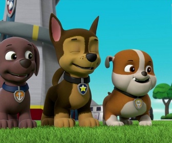 Replay Paw Patrol, la Pat'Patrouille - Les cupcakes d'Alex