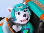 Replay Paw Patrol, la Pat'Patrouille - Il neige sur la jungle