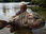 Replay River monsters