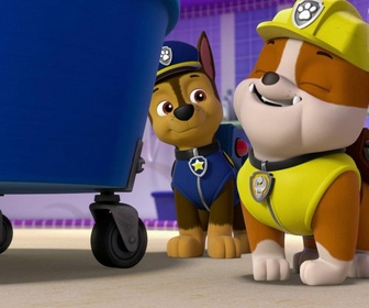 Replay Paw Patrol, la Pat'Patrouille - Des ours dans la ville