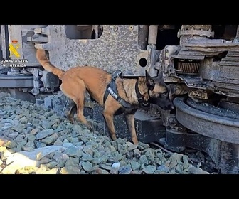 Replay Accident de train en Espagne : unités cynophiles déployées pour recueillir des preuves