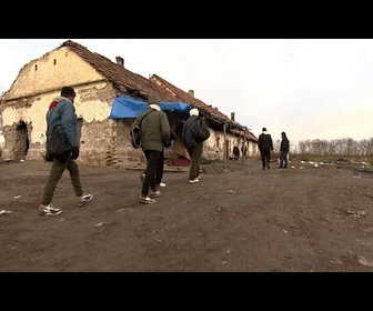 Replay Évacuations systématiques de migrants à la frontière entre la Serbie et la Hongrie