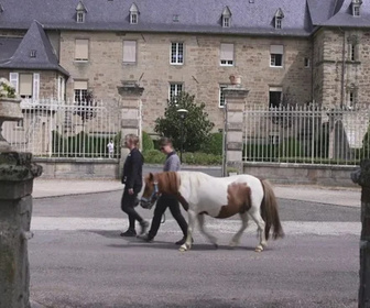 Replay Le doc du Mag santé - 29/07/2026