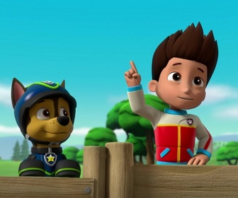 Replay Paw Patrol, la Pat'Patrouille - Le miel a disparu !