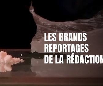 Replay Les reportages du 20h - Les grands reportages de la rédaction - MEXIQUE, les cartels font la loi