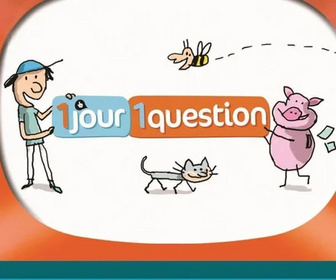 Replay 1 jour, 1 question - 15/06/2026