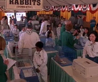 Replay Malcolm - Las Vegas