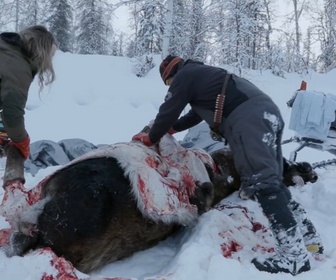 Replay Seuls face à l'Alaska - S13E1 - Nouvelles terres