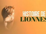 Replay Histoires de lionnes