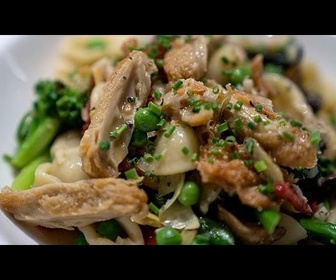 Replay Italie : des messages viraux sèment la confusion sur la viande cultivée en laboratoire